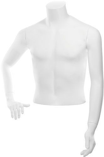 C-13-01M \ Торс мужской BASIC, укороченный C-13-01M \ Торс мужской BASIC, укороченный