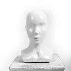 JESSICA \ Манекен головы женский JESSICA \ Манекен головы женский